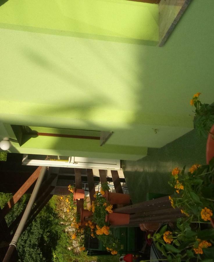 Apartma Juha - Breg pri Borovnici Exterior foto
