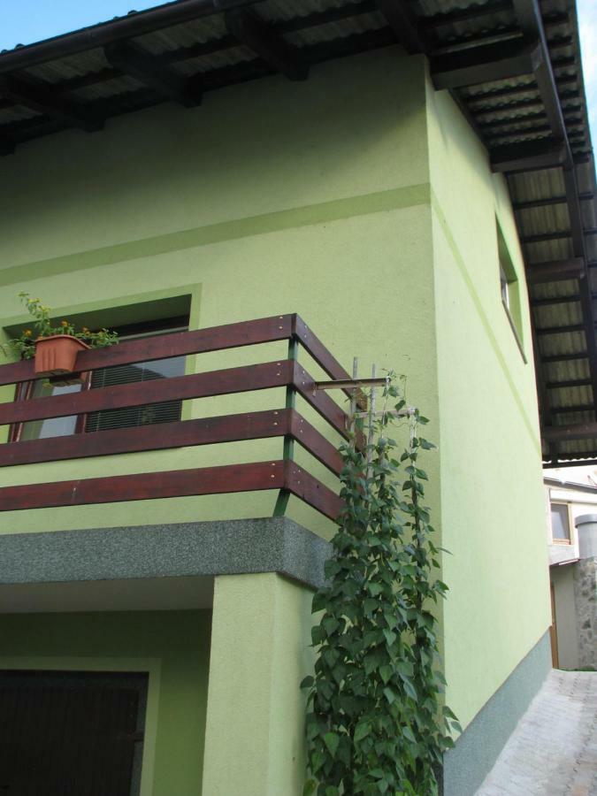 Apartma Juha - Breg pri Borovnici Exterior foto